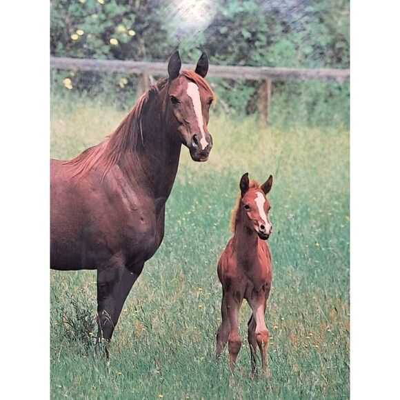 Vintage Horse Lacquered Wood Wall Clock  WORKS Tom Landgraf 12x10 - Picture 7 of 10